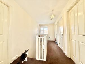 Photo 1- click for photo gallery